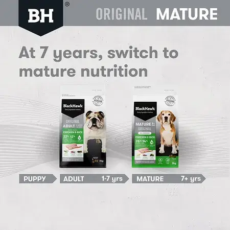 Blackhawk Original Mature 7+ Dry Dog Food - Chicken & Rice 3kg - Image 5