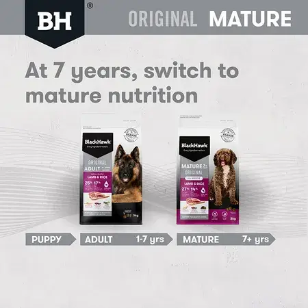 Blackhawk Original Mature 7+ Dry Dog Food - Lamb & Rice 3kg - Image 4