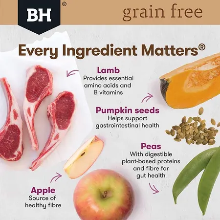 Blackhawk Grain Free Adult Dry Dog Food - Lamb - Image 3