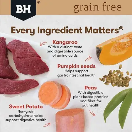 Blackhawk Grain Free Adult Dry Dog Food - Kangaroo - Image 3
