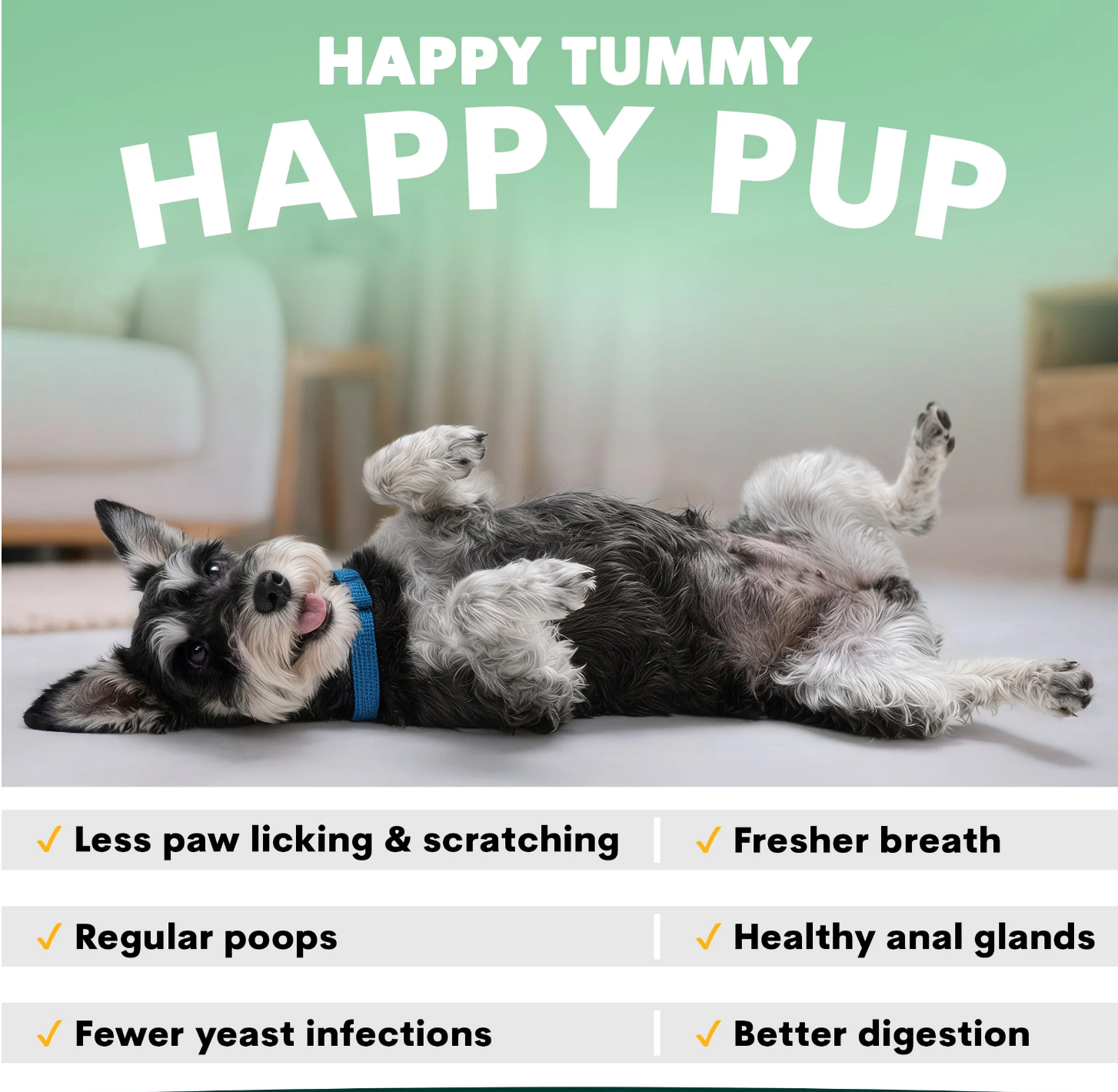 PetzPark Probiotic for Dogs - Image 3