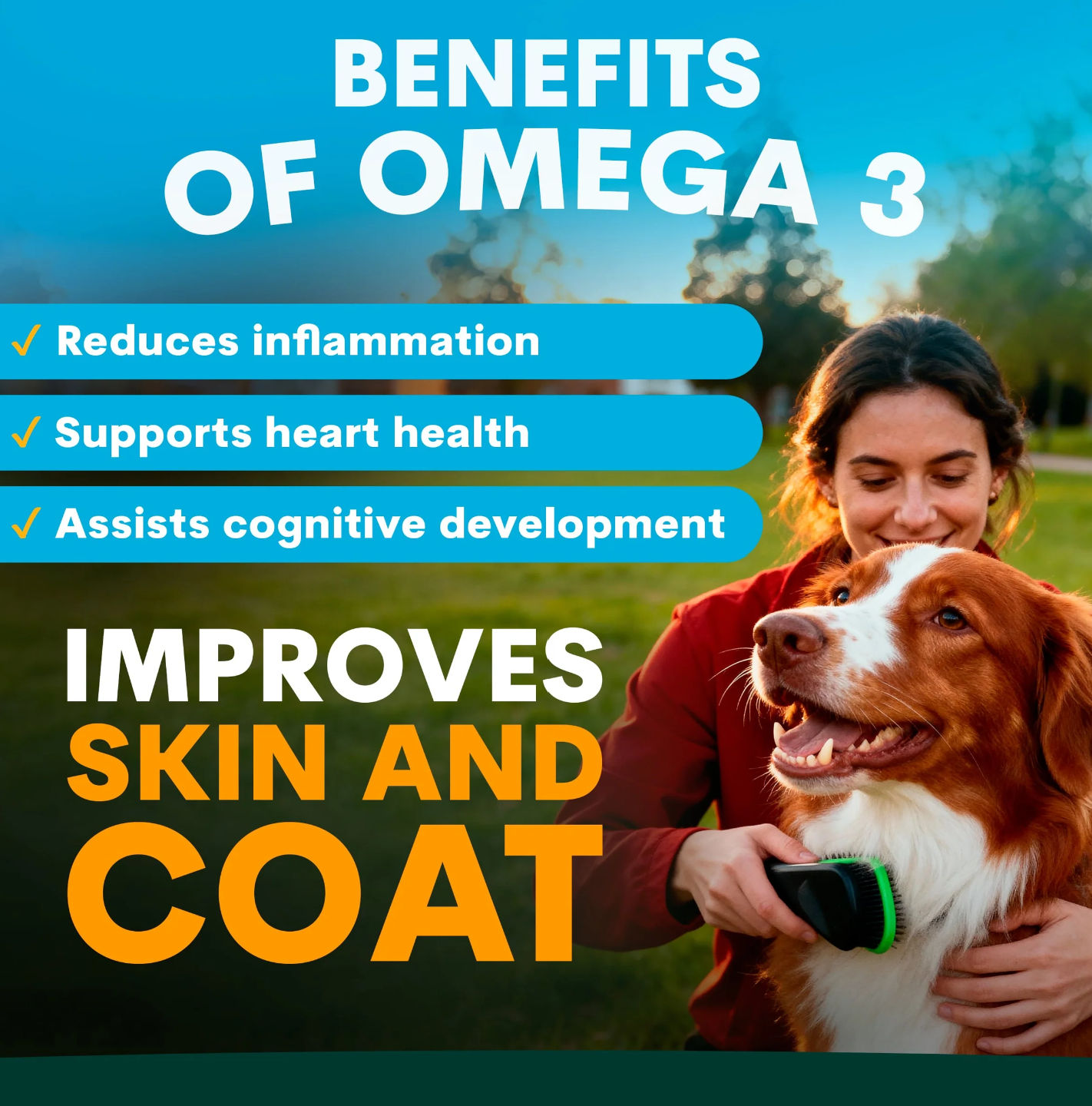 PetzPark Skin & Coat for Dogs - Image 3