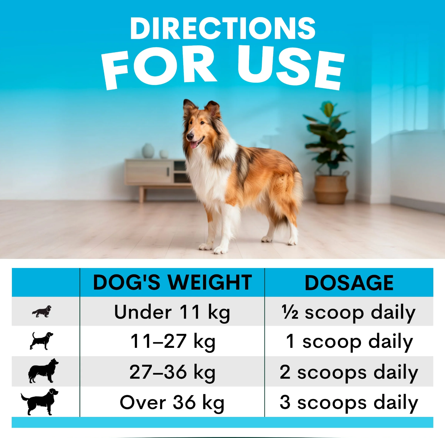 PetzPark Skin & Coat for Dogs - Image 6